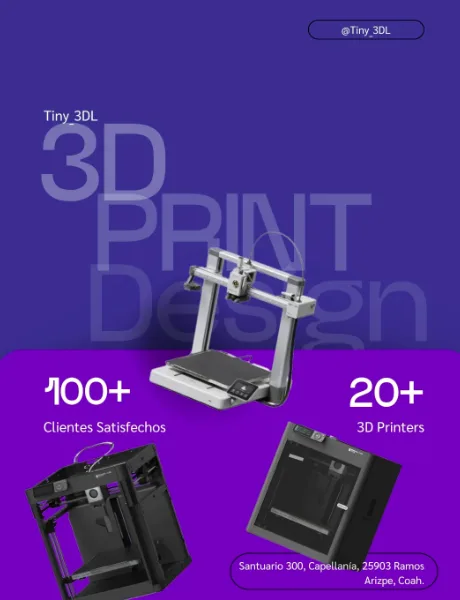 Figura impresa en 3D por Tiny 3DL